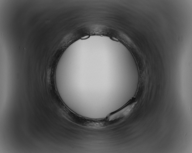 X0000083530217200703021601