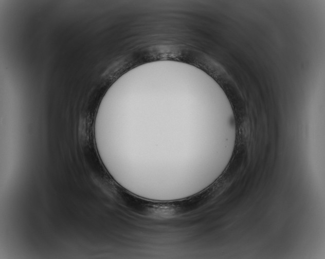 X0000083530218200703021601