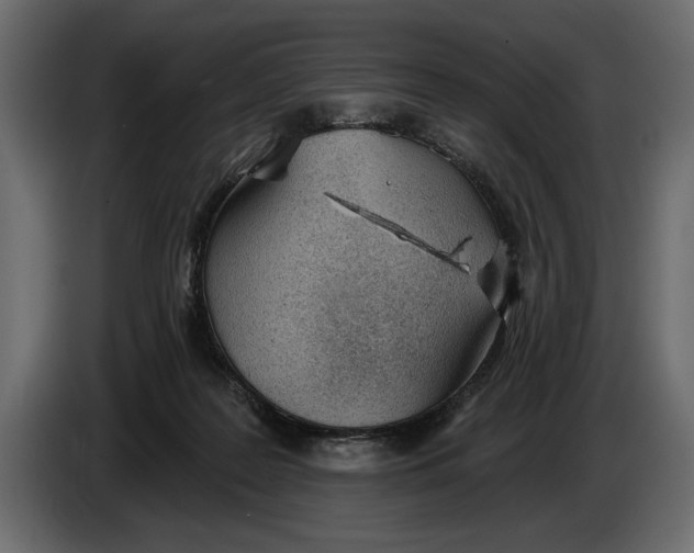 X0000083530219200703021601