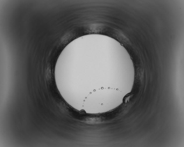 X0000083530220200703021601