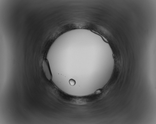 X0000083530221200703021601