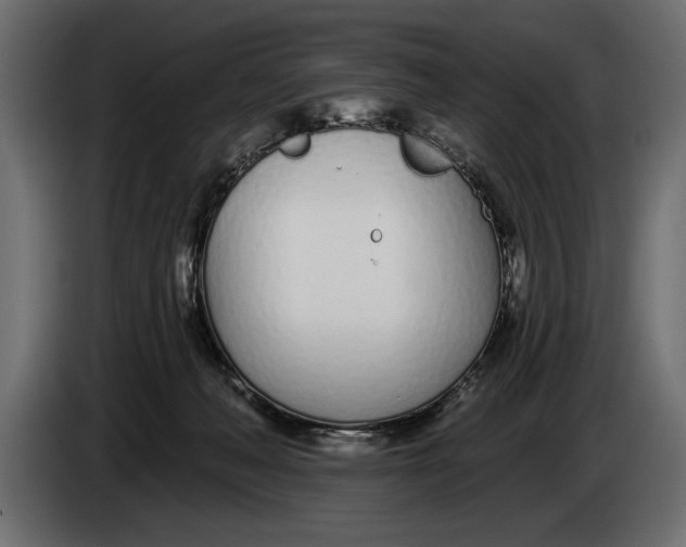 X0000083530222200703021601