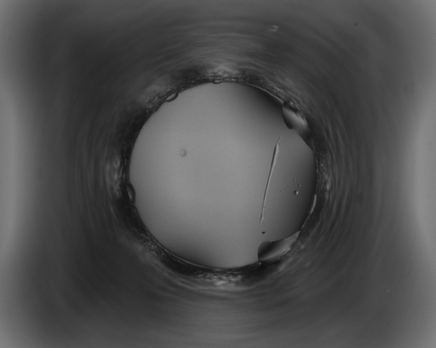 X0000083530223200703021601