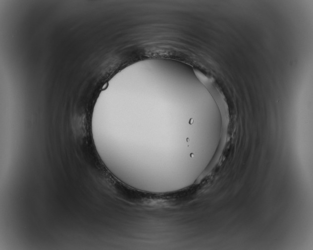 X0000083530224200703021601