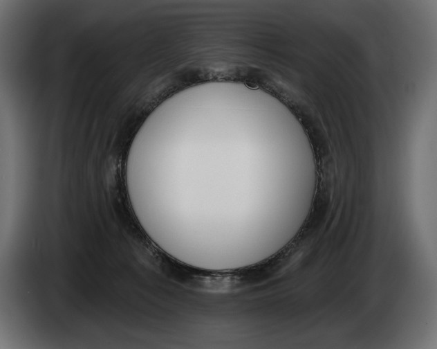 X0000083530225200703021601