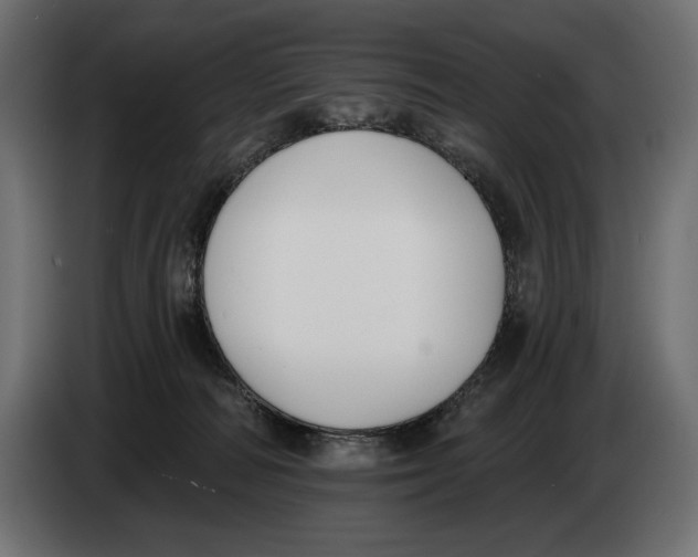 X0000083530226200703021601