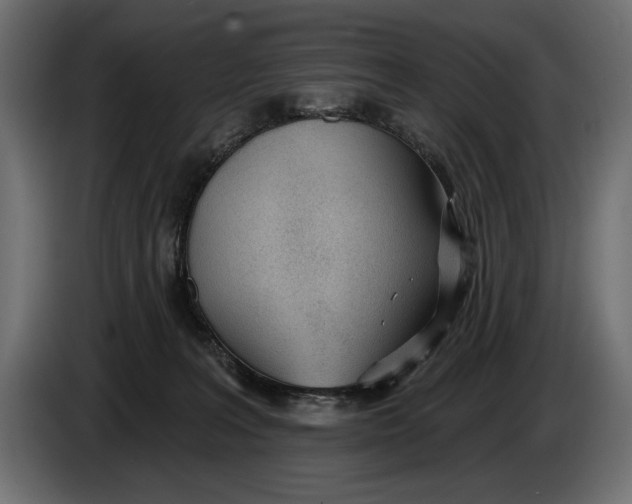 X0000083530227200703021601