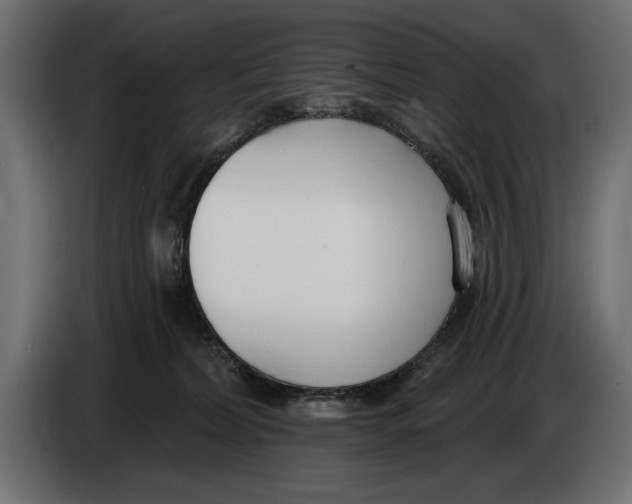 X0000083530228200703021601