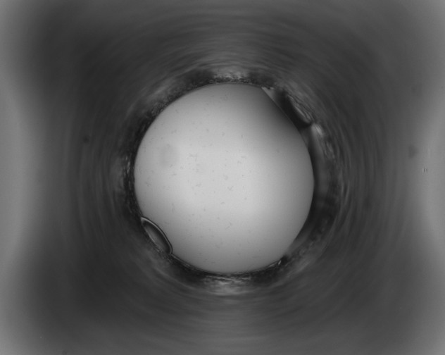 X0000083530229200703021601