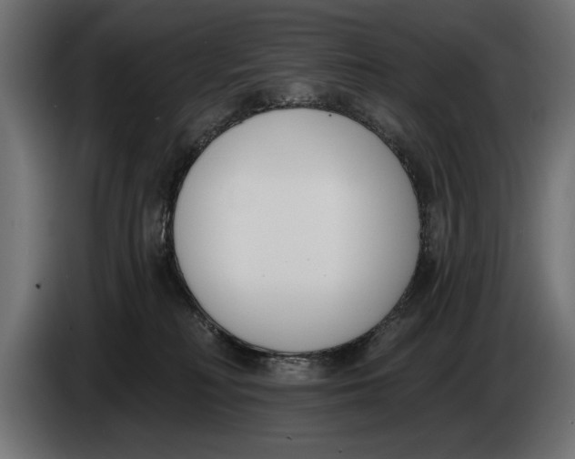 X0000083530230200703021601