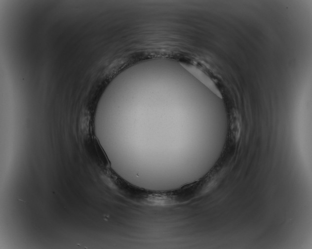 X0000083530231200703021601