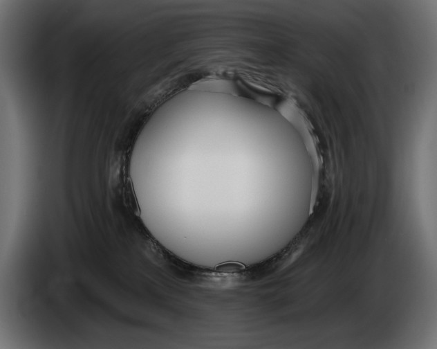 X0000083530233200703021601