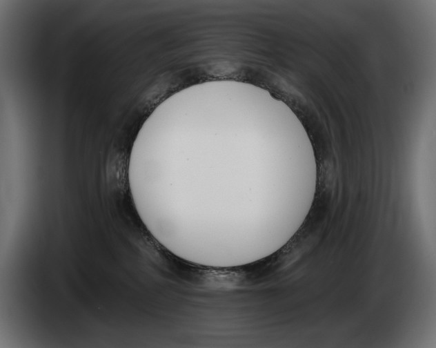 X0000083530234200703021601