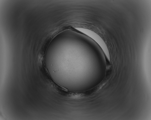 X0000083530235200703021601