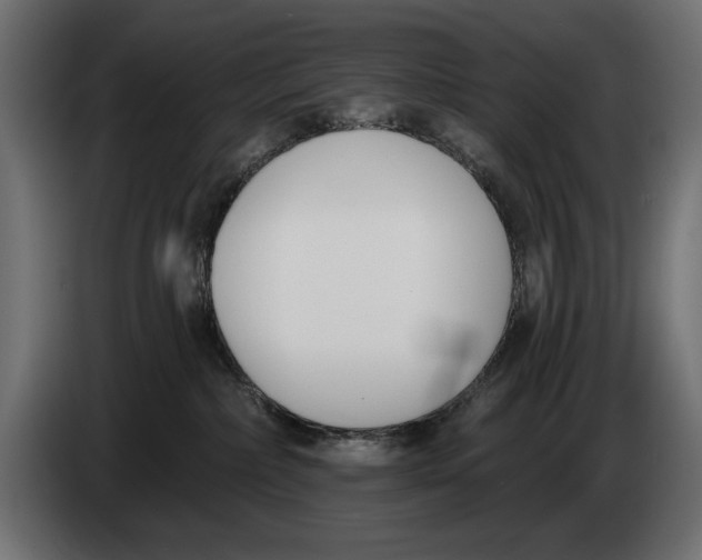 X0000083530236200703021601