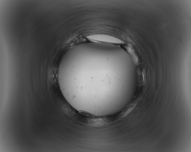 X0000083530237200703021601