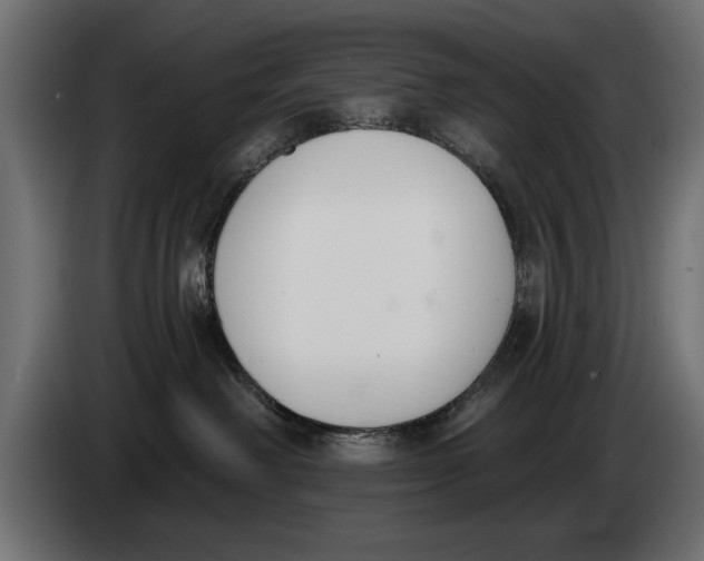 X0000083530238200703021601