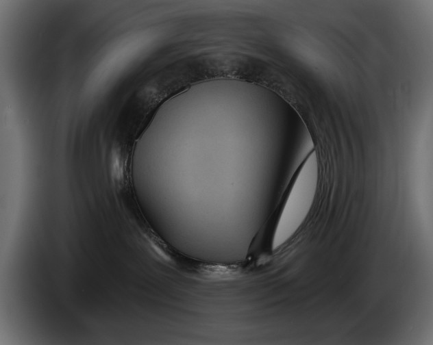 X0000083530239200703021601