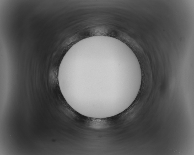 X0000083530240200703021601