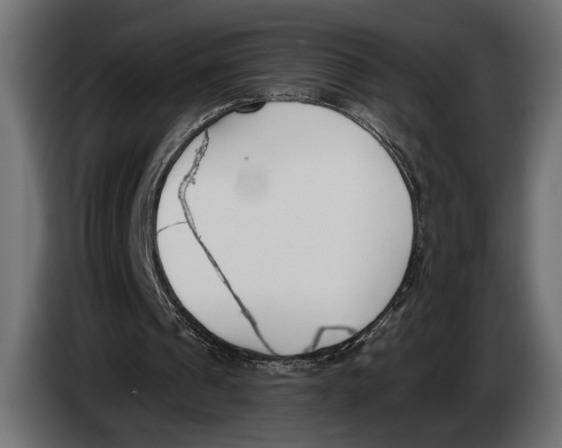 X0000083530241200703021600