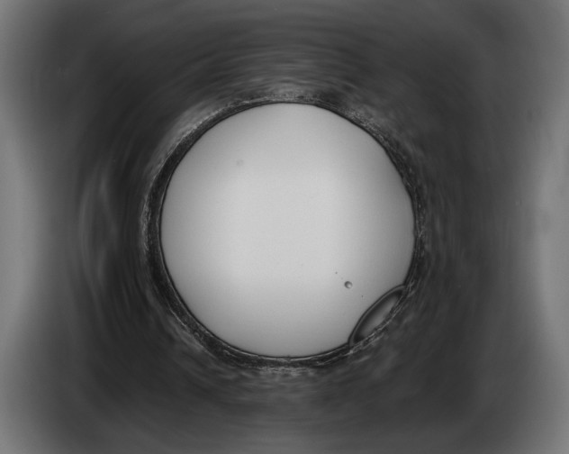 X0000083530242200703021600