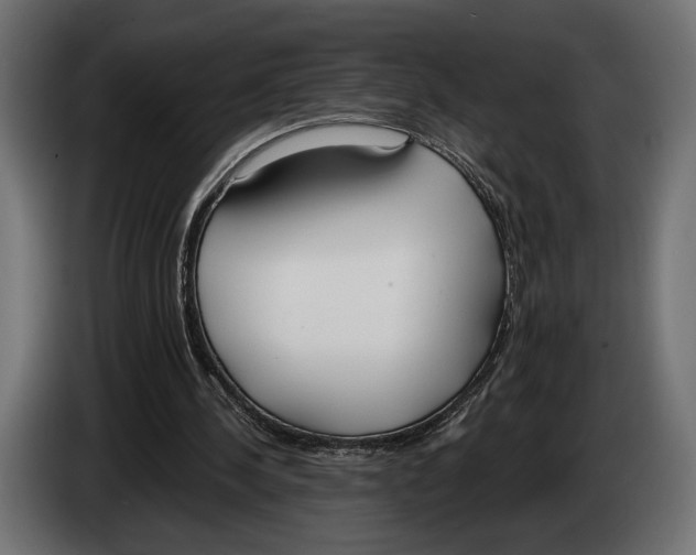 X0000083530244200703021600