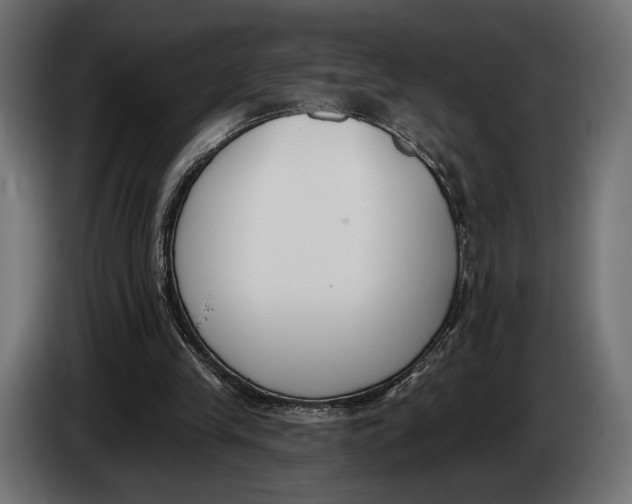 X0000083530245200703021600