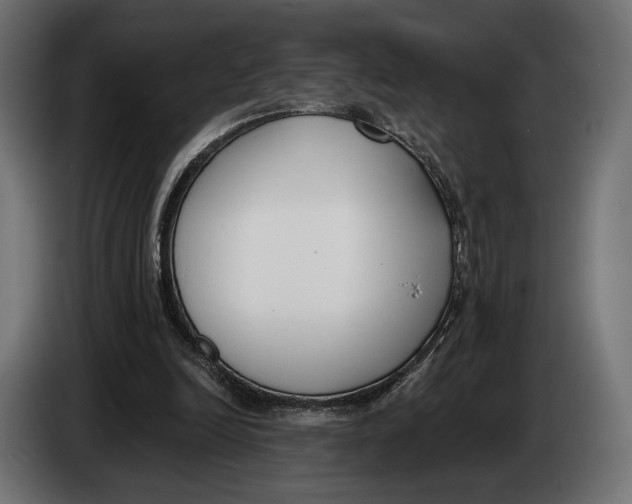 X0000083530246200703021600