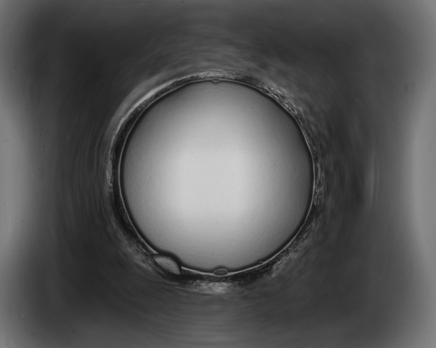 X0000083530247200703021600