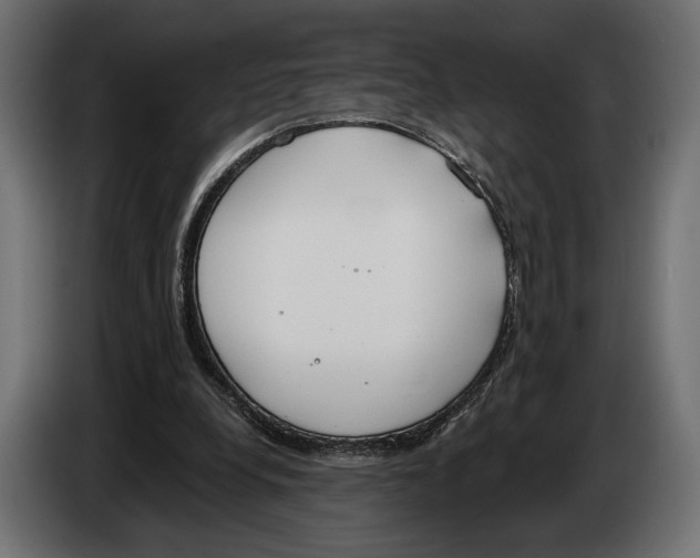 X0000083530248200703021600