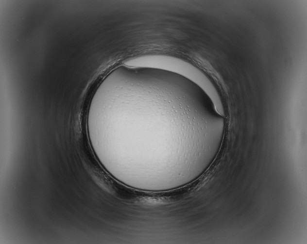 X0000083530250200703021600