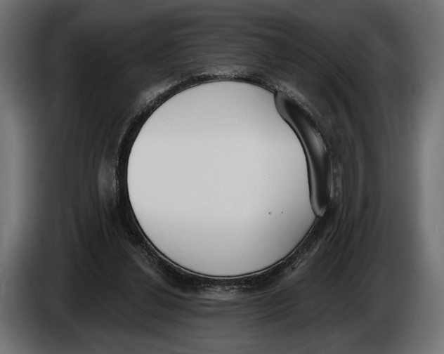 X0000083530252200703021600