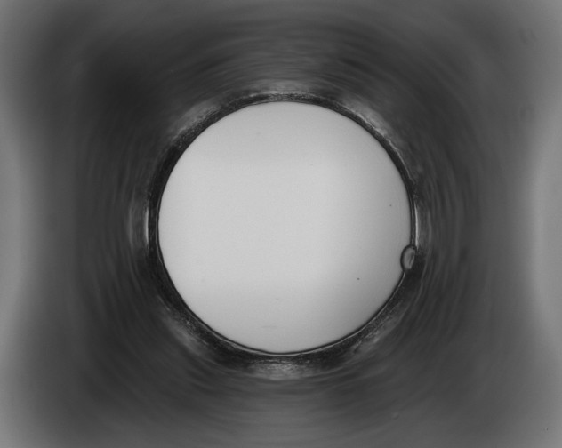 X0000083530253200703021600