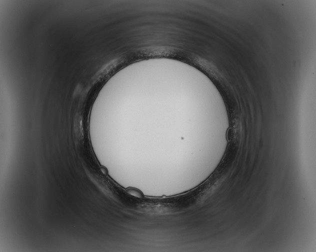 X0000083530254200703021600