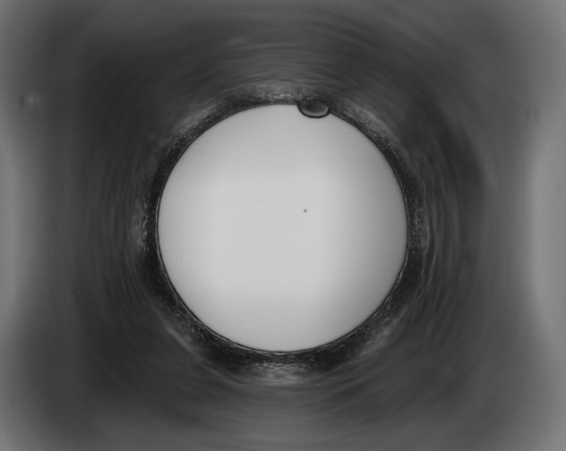 X0000083530255200703021600