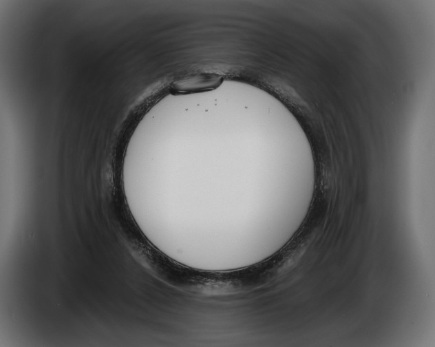 X0000083530256200703021600