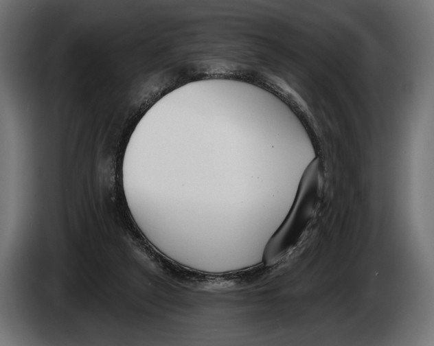 X0000083530257200703021600