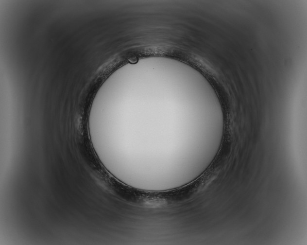 X0000083530258200703021600