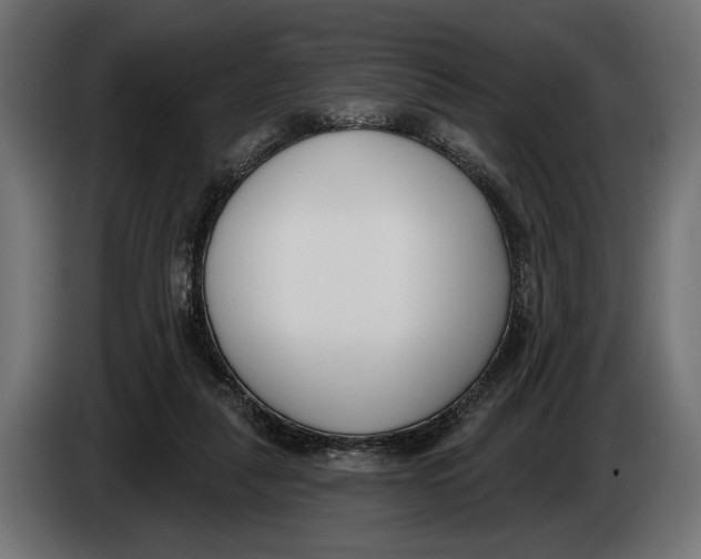 X0000083530259200703021600