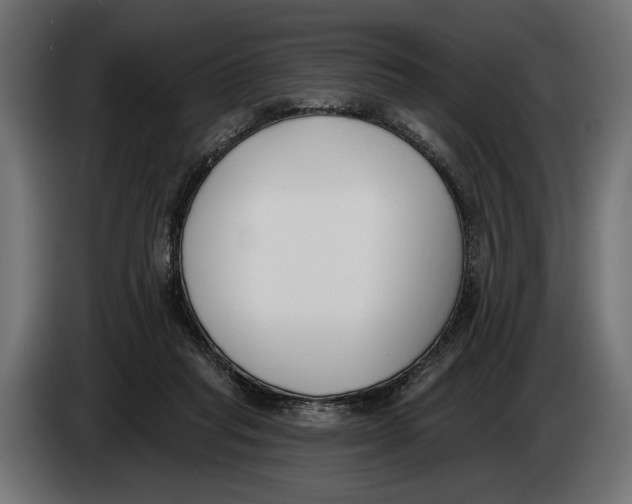 X0000083530261200703021600