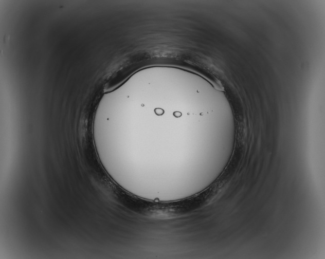 X0000083530263200703021600