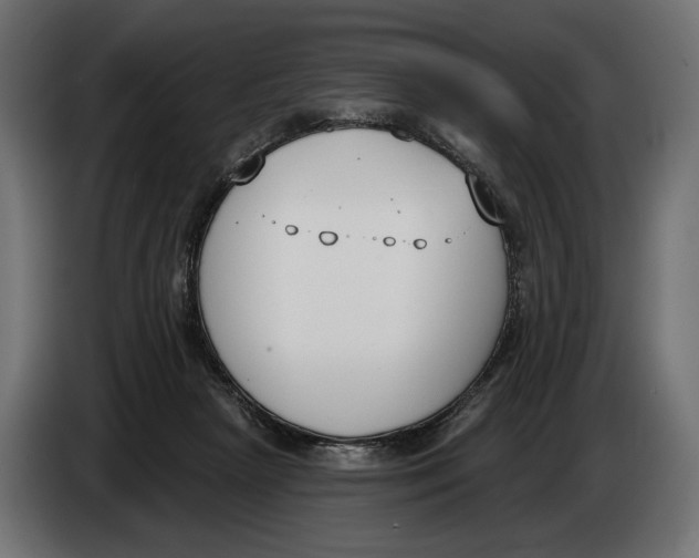 X0000083530265200703021600