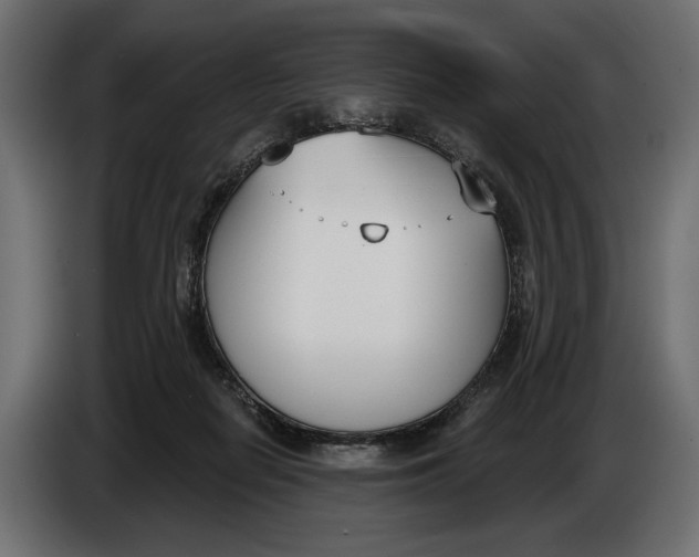 X0000083530266200703021600