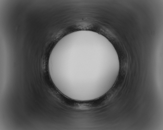 X0000083530268200703021600