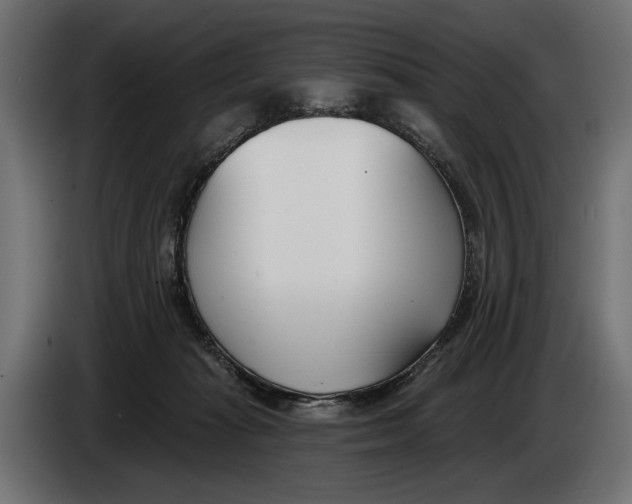 X0000083530269200703021600