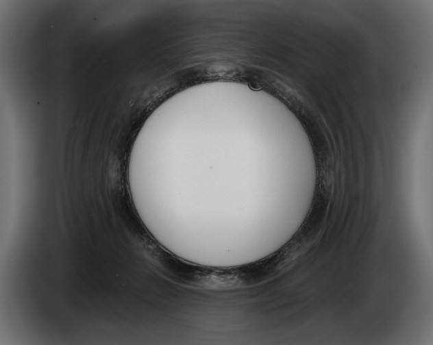 X0000083530270200703021601