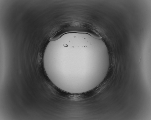 X0000083530273200703021601