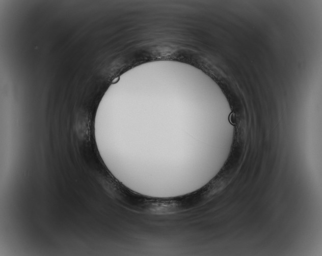 X0000083530274200703021601