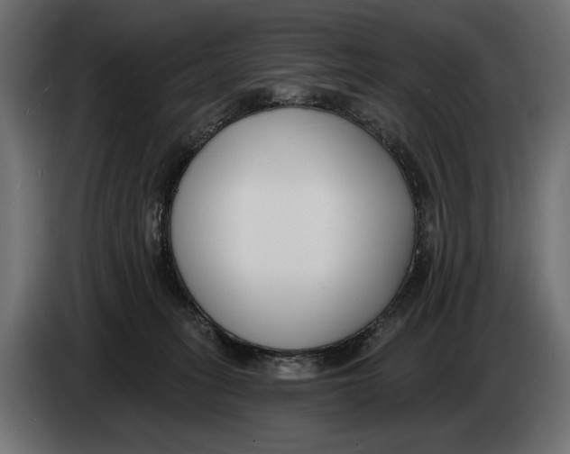 X0000083530275200703021601