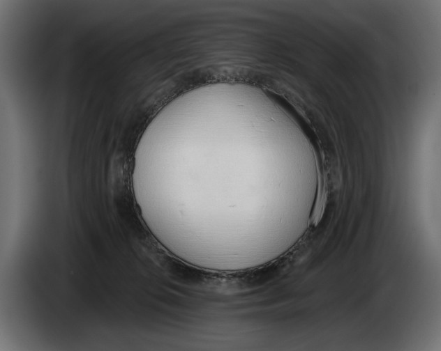 X0000083530276200703021601